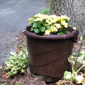 Meet your Posher, Gina